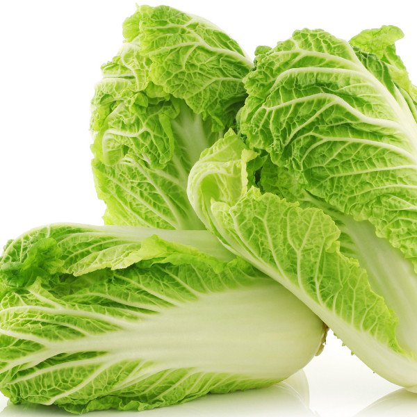 Chinese Cabbage