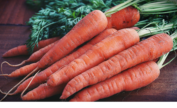 Carrot
