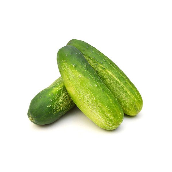 Small cucumber