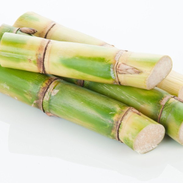 Sugarcane