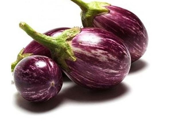 Indian Brinjal