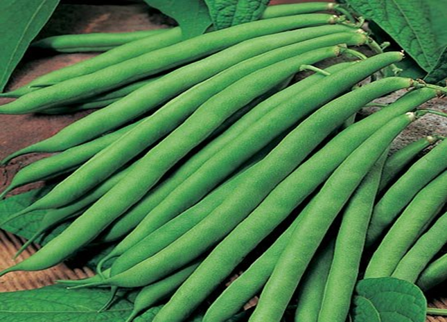 Green Beans