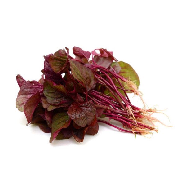 Red Amaranthus