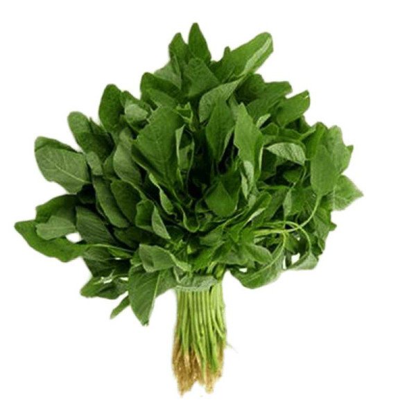 Green Amaranthus